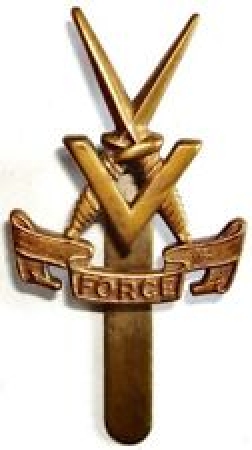 WW2 Metal Badges