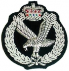 Military Badges