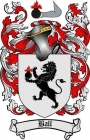 Hand Made Coat Of Arms