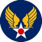 U.S. WW11 Seleeve Insignias
