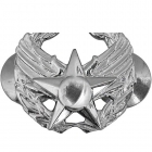 Italian Army Badges