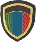 Italian Army Badges